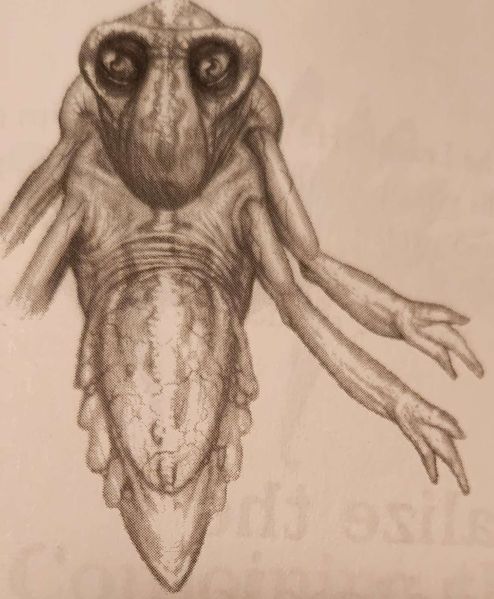 File:20221209 181738.jpg